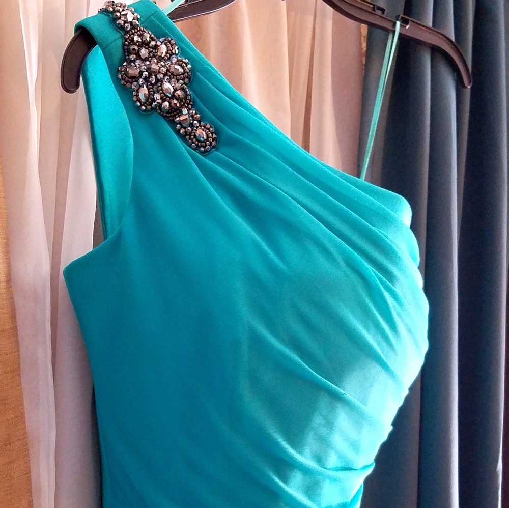 Alex evenings formal dress